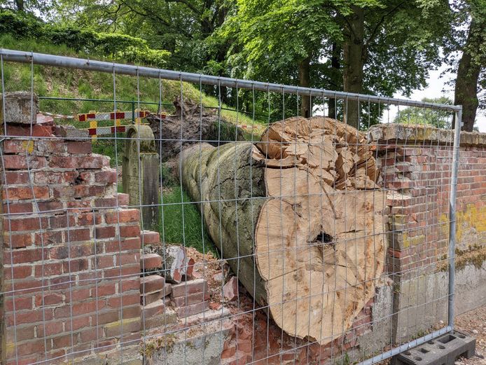 De boom die tijdens een eerdere storm door de muur van de begraafplaats viel, wordt binnenkort opgeruimd.
