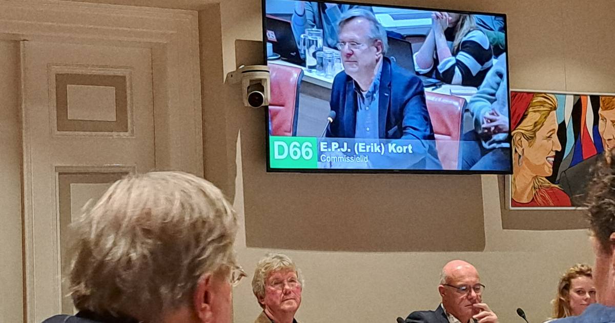 Twee fractieleden van D66 verlaten Hattemse politiek: ‘Keuzes die niet ...