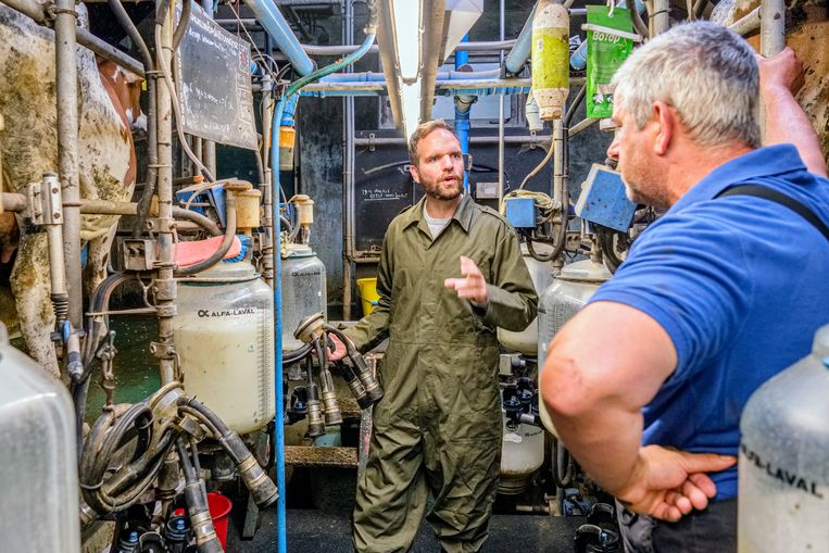 CDA: Kleinere veestapel onvermijdelijk, maar wél met perspectief voor de boeren