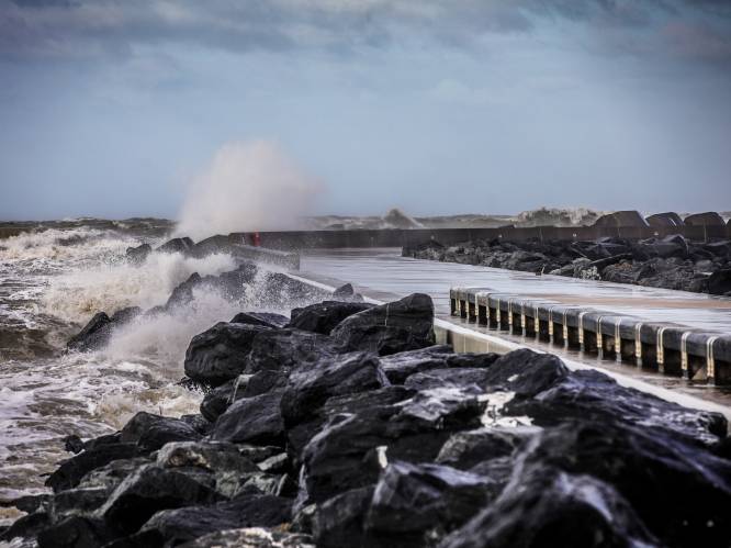 Stad Oostende neemt voorzorgsmaatregelen voor krachtige storm: vermijd onnodige verplaatsingen