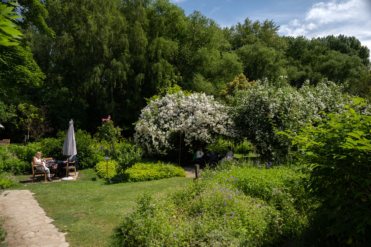 De Millinger Theetuin. Beeld Els Zweerink