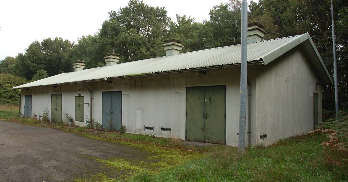 Gemeente Wijchen koopt bunkers Mobcomplex Alverna voor opslag van verenigingen
