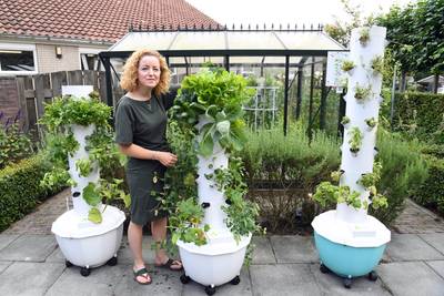 Susanne gaat met haar moestuin in Molenschot de hoogte in: ‘De techniek is ontwikkeld door de NASA’