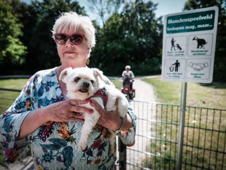 Hondenlosloopgebied Gemünden am Mainpark nu ook omheind: geen poep meer onder de schoenen 
