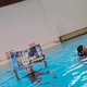 Activisten verstoren dolfijnenshow in Boudewijn Seapark: ‘Stop shows met dieren’