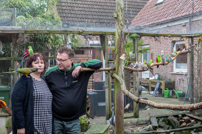 Ado Schellekens (rechts) en zijn partner Monique van Latesteijn in de grote volière achter hun huis aan de Schansstraat in Terheijden.