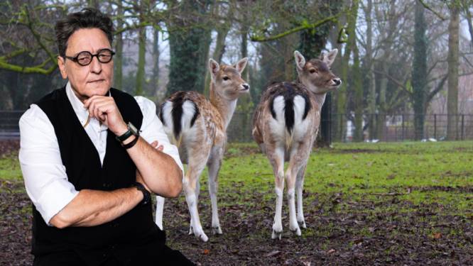 Bevers, otters en bokjes: dit is het dierennieuws met Kees Thies!