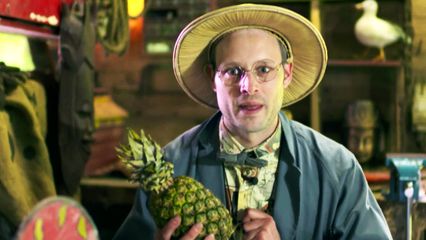 6. Thuisquiz Nonkel Roger Ananas - Dieren van Daan Muskusschildpad