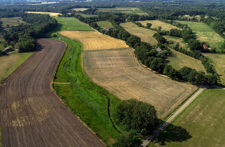 Droogte in Beckum.  Beeld ANP