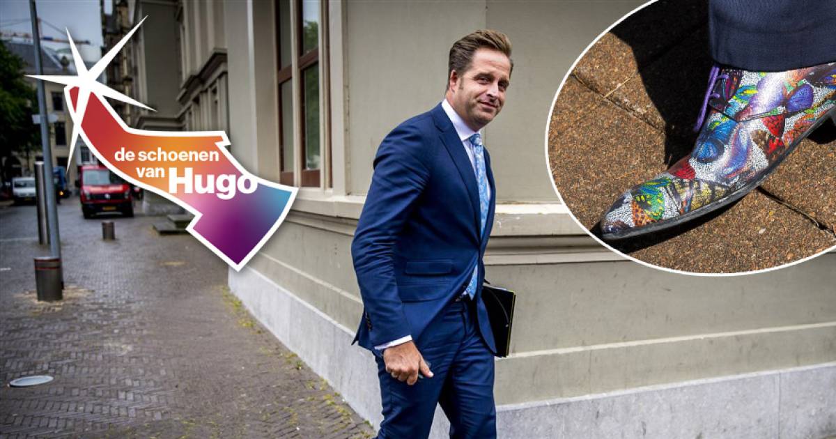 Schoenen hugo best sale