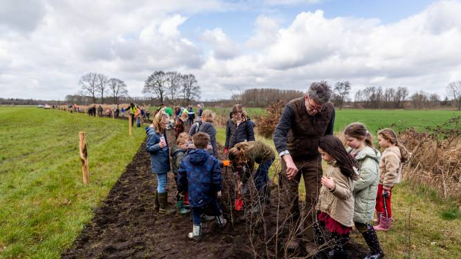 Vlechtheg moet verloren biodiversiteit terugwinnen, te beginnen aan de Peedijk in Borkel en Schaft
