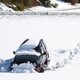 Miljoenen zonder stroom in VS door sneeuw