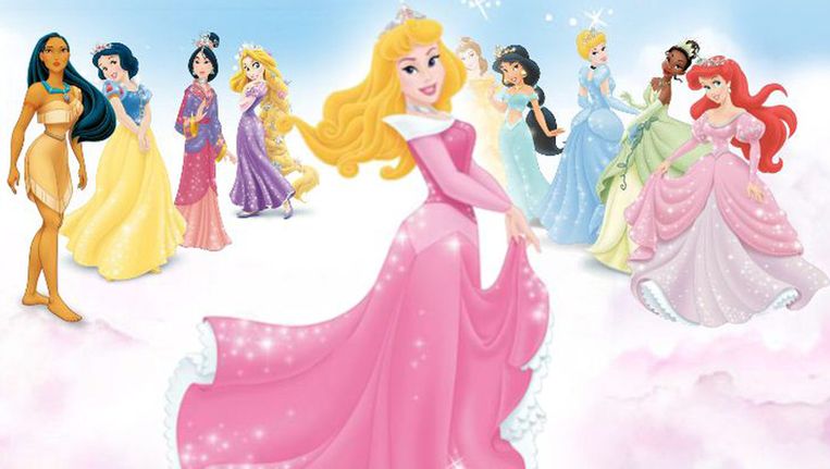 Disney prinses roze jurk top