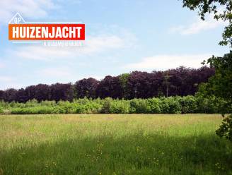 HUIZENJACHT. Oud-Heverlee, waar je je in de Ardennen waant: “Prijzen moeten niet onderdoen voor die in Leuven” 