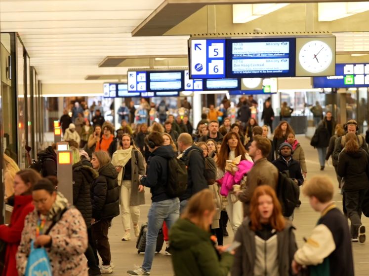 Dassen zorgen voor zeker een week lang geen treinverkeer tussen Den Bosch en Boxtel