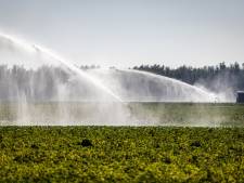 Droogte zorgt voor eerste onttrekkingsverboden in West-Brabant: ‘Warmte en noordoostenwind’