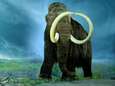 Lopen er binnenkort weer mammoeten rond op aarde?