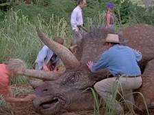 Je kent hem van Jurassic Park en nu blijkt die film nog te kloppen ook: de triceratops was een kuddedier