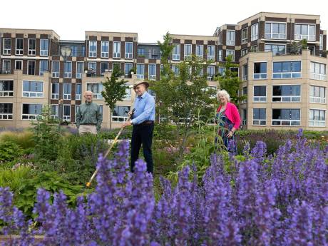 Mooiste fleurige IJsselkade ooit dankzij kostbare installatie en inzet van Doesburgse ouderen