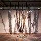 Onze schoonheidsnormen zijn volslagen willekeurig, concludeer je vanzelf bij de tentoonstelling Hair Power ★★★★☆