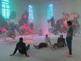 Kunstwerk ‘Are We The Aliens’ van Arne Quinze krijgt Lanakens luik