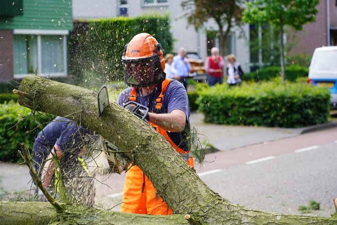 De brandweer zaagt de boom om in Rijen.