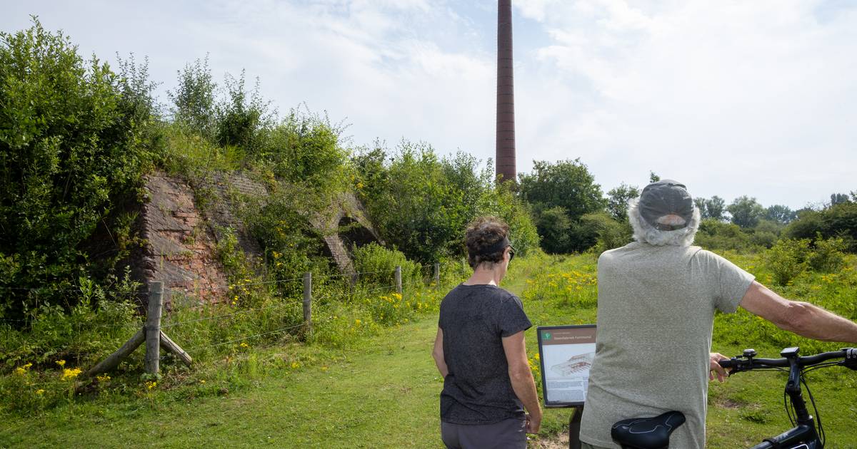 Steenfabriek Fortmond kampt met natuurkrachten: ‘Als een steen valt, metselen we die niet terug’