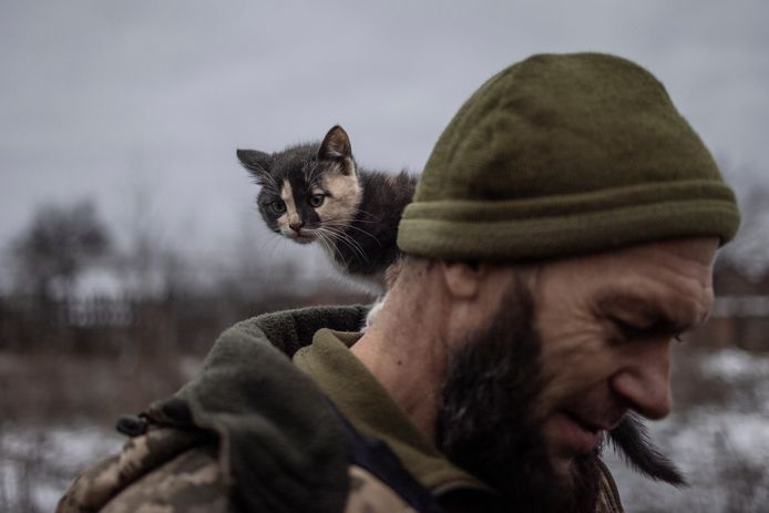 Een kitten zit op de schouder van een Oekraïense soldaat in de buurt van de frontlijn in Donetsk. (25/12/2023).