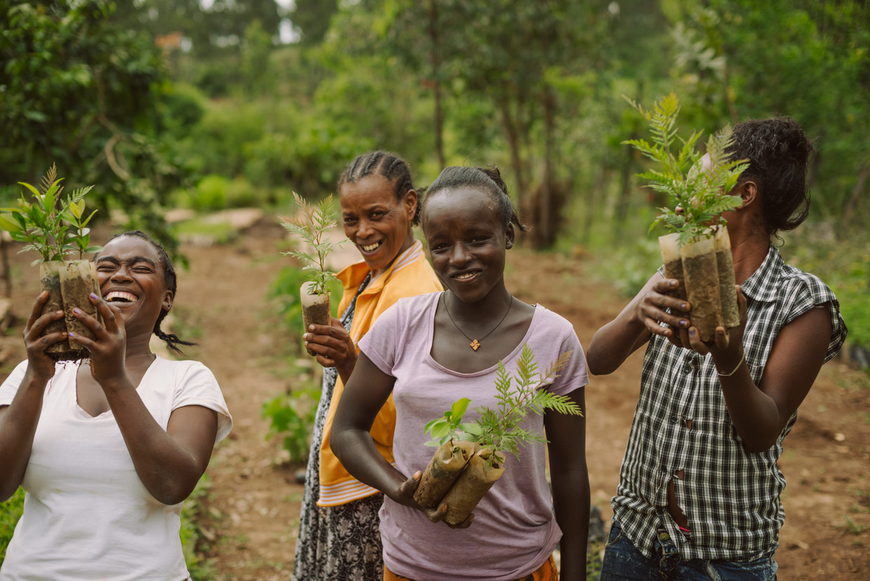 Jonge bomen voor een herbebossingsproject in Ethiopië. Beeld Shane Thomas McMillan