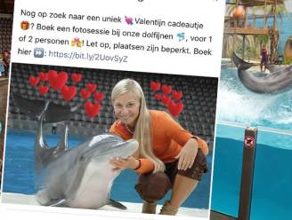 Boudewijn Seapark onder vuur door fotoshoot met dolfijnen: “Stop dit soort circusacts”