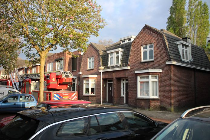 Met grote sjorbanden heeft de brandweer vrijdagavond drie enorme populieren in een tuintje aan de Bilderdijkstraat aan elkaar vastgemaakt. Ze dreigen om te vallen. Maar niemand komt ze kappen, zegt de buurman.