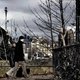 Vogels in Londen