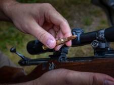 Schieten jagers het voedsel uit de bek van de wolf op de Veluwe?
