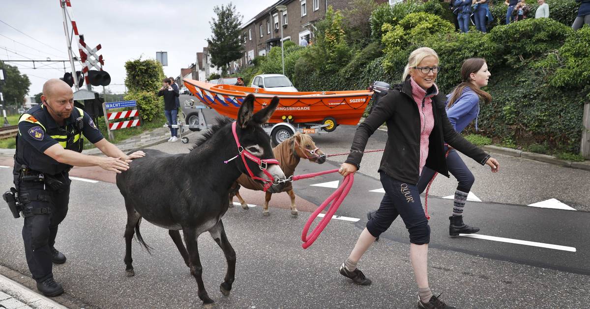 Dijkdoorbraak aan Belgische grens - evacuaties in alle ...