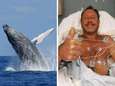 Un pêcheur sain et sauf après avoir été "avalé" par une baleine