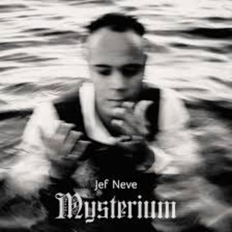 'Mysterium' van Jef Neve. Beeld rv