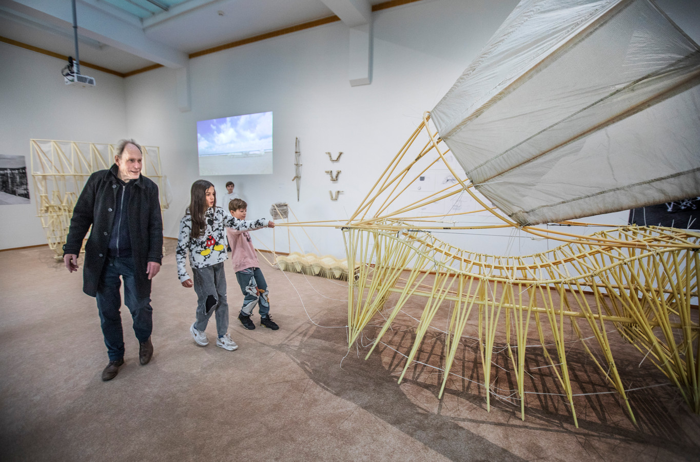 De Strandbeesten van Theo Jansen trotseerden de zwaarste stormen nu te zien bij Kunstmuseum