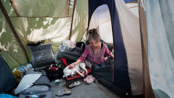 Een daklozencamping in Eindhoven, het klonk verontrustend metropoolachtig