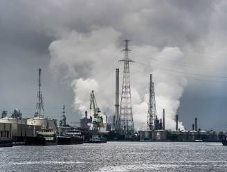 Greenpeace sleept Vlaamse regering voor de rechter wegens lakse aanpak van luchtvervuiling