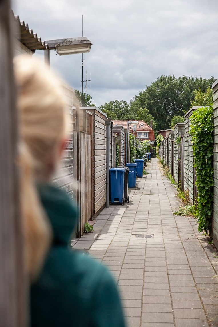 Gangetjes achter een huizenblok in Nederland. Beeld Harry Cock