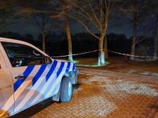 Magneetvissers vinden handgranaat in Enschedese vijver, EOD brengt explosief tot ontploffing