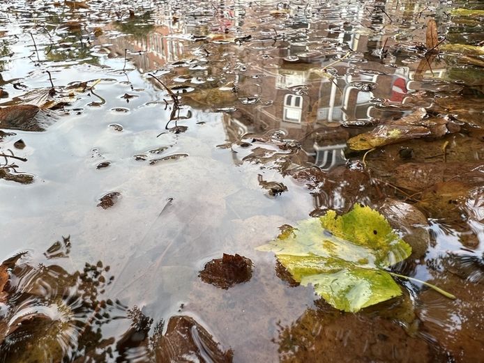De Heemraadssingel op 13 oktober.