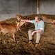 De veestapel halveren? Dat vindt deze boer een goed idee