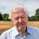 Sir David Attenborough in het rijk van de vrijheid: ‘Werkelijk sensationeel’