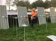 Ecologische zonneweide tussen de reeën en dassen van het Gulden Land 