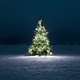 Is er behalve Mariah Carey en Chris Rea ook nog nieuwe kerstmuziek? Jazeker!