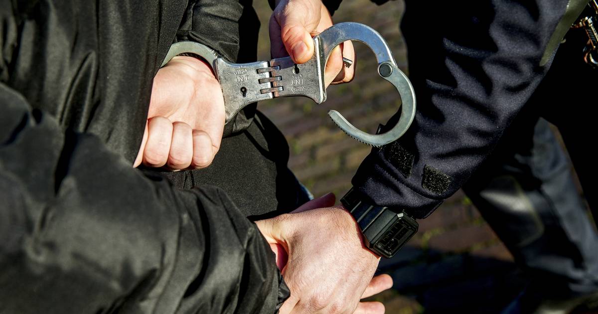 Minderjarige jongens (16 en 17) aangehouden voor dreigen met vuurwapen in horecagebied | Goeree-Over