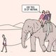 Wat doe jij met je vakantie-CO2-budget in 2020? Een keertje vliegen kan best