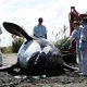 Verboden pcb’s bedreigen nog steeds de helft van alle orka's