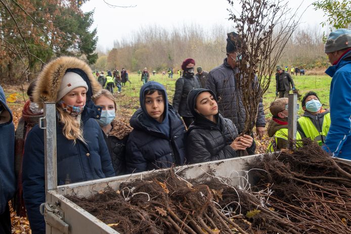 Boomplantactie Sint Jozef op een veld in de wijk Anker.